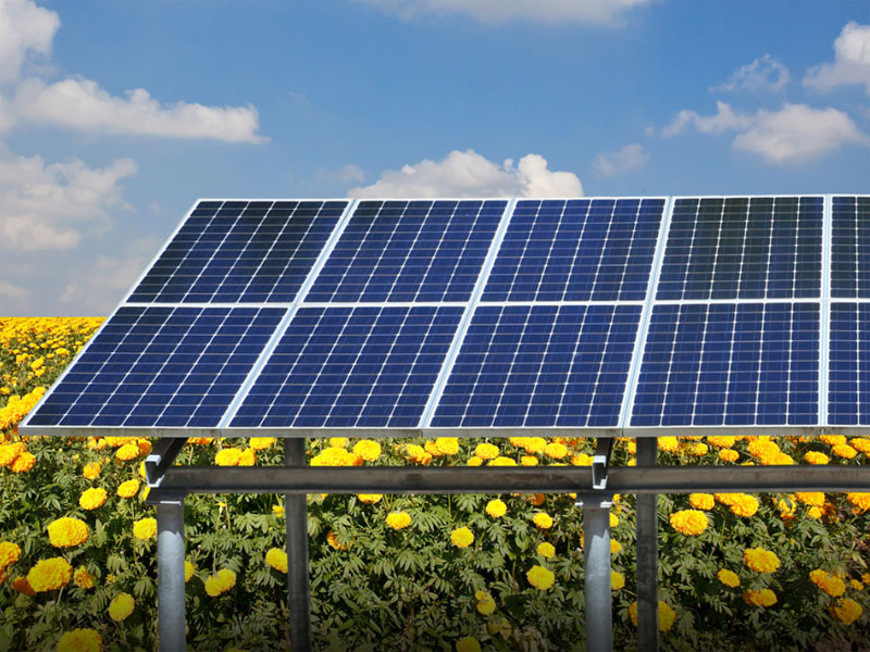 Europe : l’agriculture photovoltaïque est devenue une tendance majeure de développement à l’avenir
