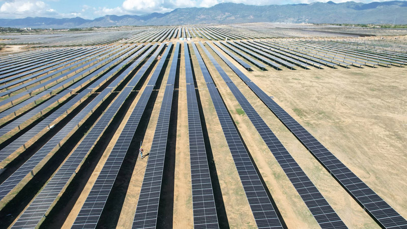 Le secteur solaire polonais s'envole en 2025 avec une croissance record des installations photovoltaïques
